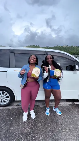 Create Epic Memories. 🌴  One Love ❤💛💚 🌴 @epic_islandtours    Customize your Jamaica 🇯🇲 Tours/ Excursions/ Private Airport Transfers  with us Call/ WhatsApp : 1-876-209-7515  for more....  Email us @ : epicislandtours@gmail.com  ✅Weed Farm Tour  ✅Bamboo Rafting and limestone massage  ✅ JetCar ✅Jetski  ✅ Blue Hole  ✅ Dunn’s River Falls  ✅ Parasailing  ✅ ATV  ✅ Horsebackriding in the ocean  ✅ Sea Tubing  ✅ Catamaran / Booze Cruise  ✅ Island Swing + lots more....... #bamboorafting #privateairporttransfers #limestonemassage #thingstodoinjamaica #epic_islandtours                          