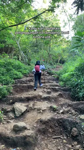 Tenang jalurnya landai kok🫣  #penanggungan1653mdpl #penanggunganviatamiajeng #foryoupage #trawas #pendakifomo 