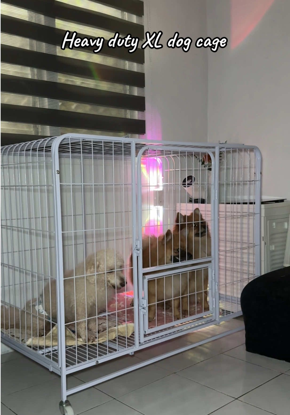 Heavy duty dog cage #heavydutydogcage #dogcage #cagefordogs @PETWELLshop 
