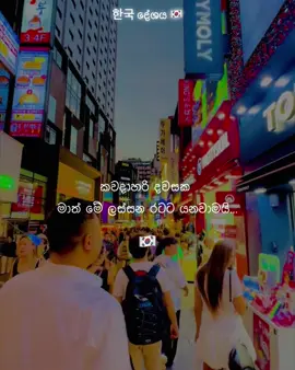 කවදාහරි දවසක මමත් මේ ලස්සන රටට යනවාමයි 🥹❤️🇰🇷 한국 දේශය 🇰🇷#fypシ゚viralシ #southkorea #DreamKorea #fyp #onemillionaudition #fypviral #hilight 