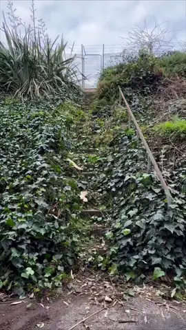 My boyfriend threw acid in my mother s face.#reddit #redditstories #redditreadings 