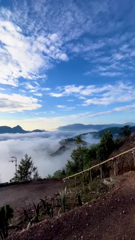 Selamat Hari Malaysia🥳💖❤️🤍💙💛  #awankarpet #Hiking #harimalaysia #nature 