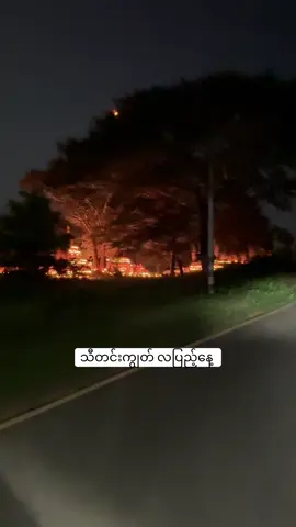 သီတင်းကျွတ်ဆိုရင် ဘုရားတွေမှာ  ဆီမီးတွေထွန်းတာ အရမ်းလှနေရောပဲ  #foryou  #bagan  #baganlover 