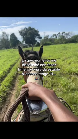 #agronomia #ganado #agriculture #exitos #agropecuaria 