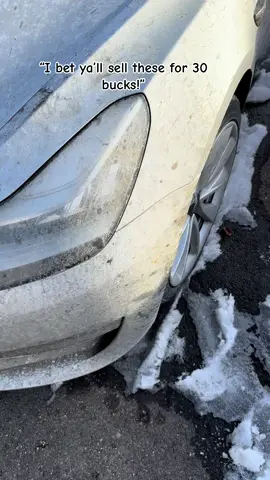 How do you think this did? 🤔 #detailing  #waterlesswash #detailspray #carwash #tesla 