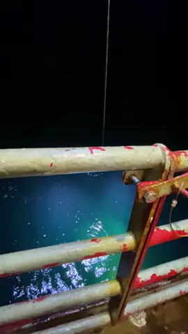 #rov #offshore #subsea 