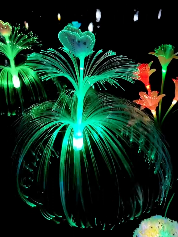 đèn sứa năng lượng mặt trời #ledtrangtri #ngoclien69camau #denled 