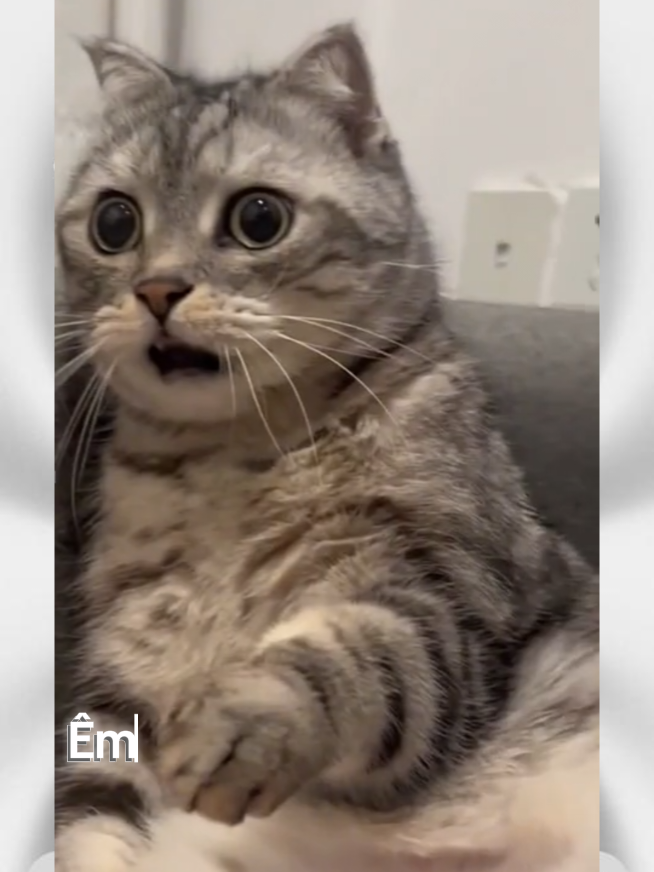 I come in peace😁#free_fire #freefire_lover #edit #fyp #foryou  plss like and follow 