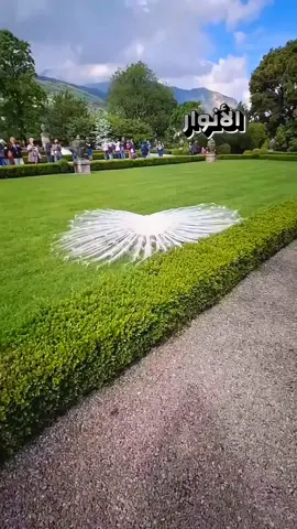 صباح الخير للجميع  اللهم صل على محمد وآل محمد  #القران_الكريم_راحه_نفسية😍🕋 #اللهم_صلي_على_نبينا_محمد #تلاوة_خاشعة #دعاء #يارب 