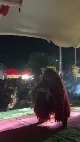 #leak #temanggung24jam #viral #fyp #kudalumping 