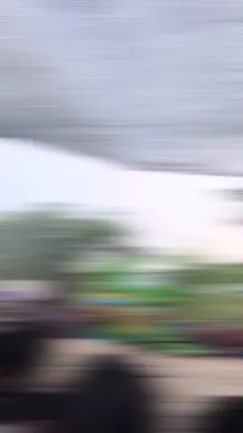 #CapCut #turonggowilis #jaranantiktok #budaya 