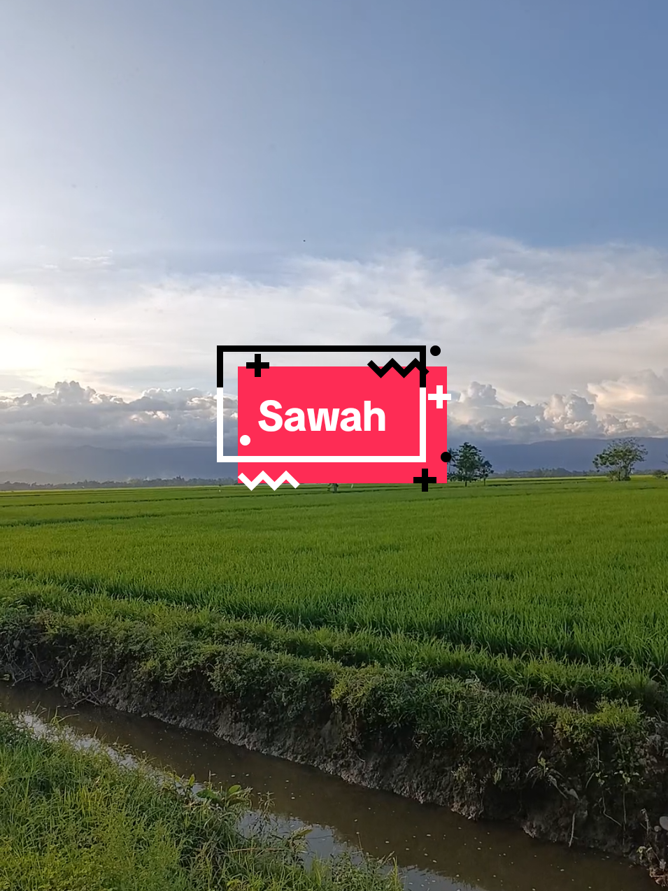 panorama indah di sawah sore hari #vibespedesaan #pedesaan #mentahan #sawah 