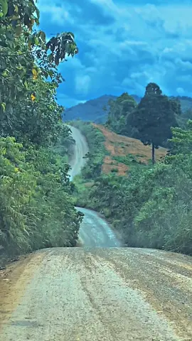 #CapCut 🔥 #hinogacor😎🤟 #sawitbalap #kaltim #fyp #xyzbca 