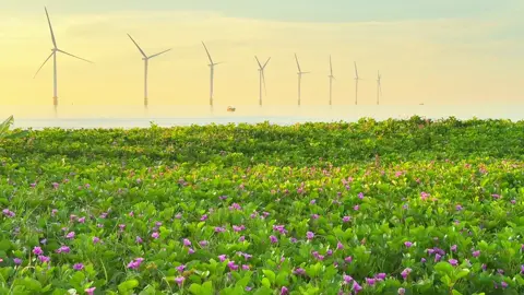 Chừng nào ta sẽ lại gặp nhau #afuscoffee #bienbadongtravinh #🌞 