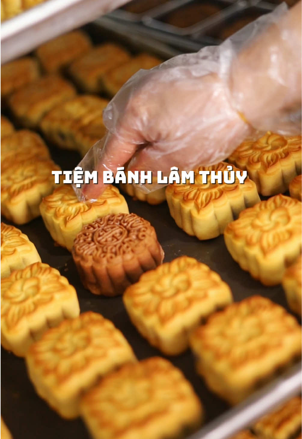 Thực hư bí ẩn về văn phòng chỉ cao nửa tầng?  #vanphong #chieucao #tiembanhlamthuy 