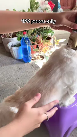 #tiktokfinds #tiktokviral #foryoupage #tiktokshop #fyp 