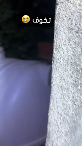 #اكسبلورexplore 