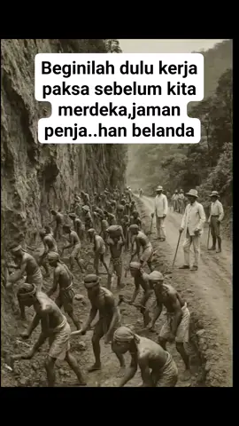 beginilah jaman dulu bekerja keras di paksa sama Belanda 