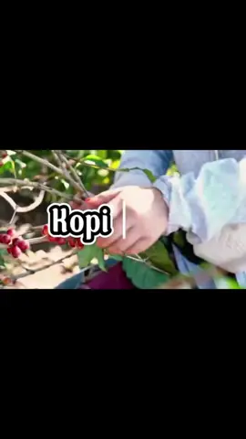 Dari biji ke cangkir, setiap tetesnya punya cerita ☕️✨#foryou #trending#life#tiktok#coffejourney