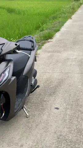 vison màu này bị chê là già 🥹 #hoabinh #khaibe #xuhuong #xuhuongtiktok #visondonkieng 