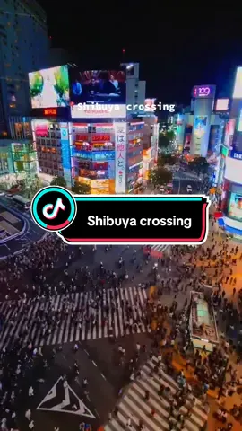 Lạc giữa biển người ở Shibuya Crossing 🌏✨ Khoảnh khắc Tokyo nhộn nhịp nhất mà ai cũng muốn trải qua một lần trong đời 🇯🇵 #shibuyacrossing #shibuya#渋谷スクランブル交差点 #shibuyaskyscramble🇯🇵 #ngatushibuya 