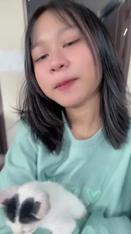 Semua ucing kalo sama aping pasti anteng 😭🤏🏻