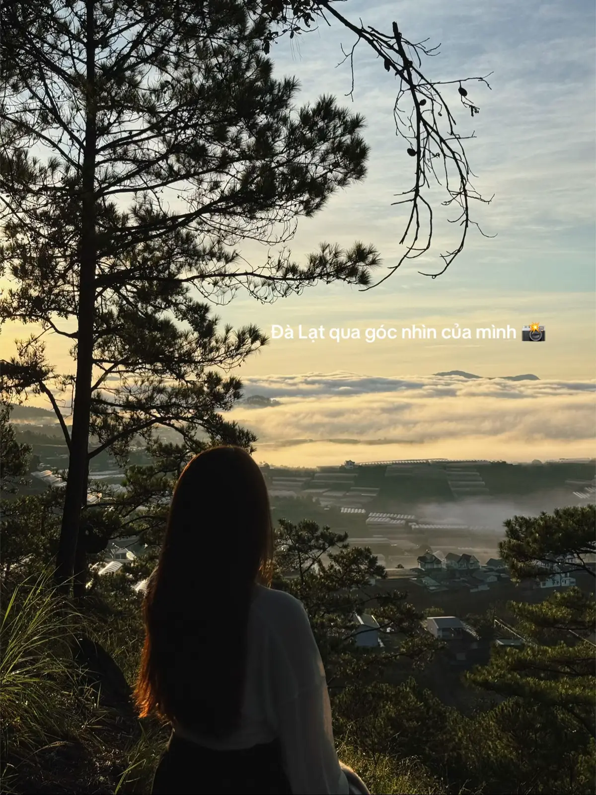 Giơ máy lên là có ảnh đẹp, quá yêu Đà Lạt 📸 #viral #dalat #dalatreview #dulichvietnam #chill 