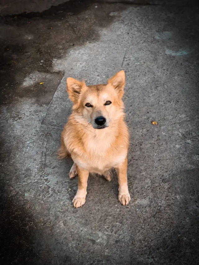 Xấu vs nghèo như anh thì ai mà thương :(( #becun0108 