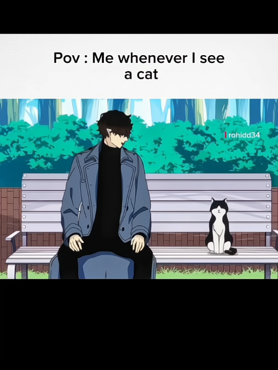 Me whenever i see a cat 😍 #AnimeDub #HindiDubAnime #AnimeTikTok #AnimeEdits #WeebIndia #AnimeScenes #AnimeForYou 