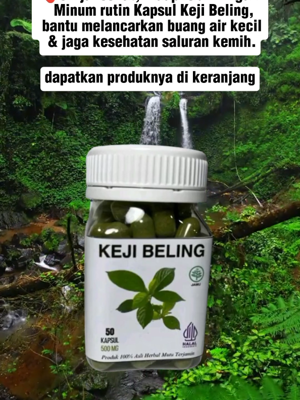 Ginjal sehat, hidup lebih ringan! 🌱 Minum rutin Kapsul Keji Beling, bantu melancarkan buang air kecil & jaga kesehatan saluran kemih. #kapsulherbal #kejibeling #obatherbal #ginjalsehat #obatalami 