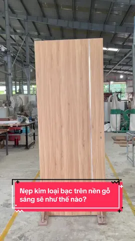 Nay cho em lên sàn diễn, cửa gỗ nhựa Composite nẹp kim loại trên nền gỗ sáng, tạo dáng đi em. #vietwindoor #fyp #xh #composite #noithat 