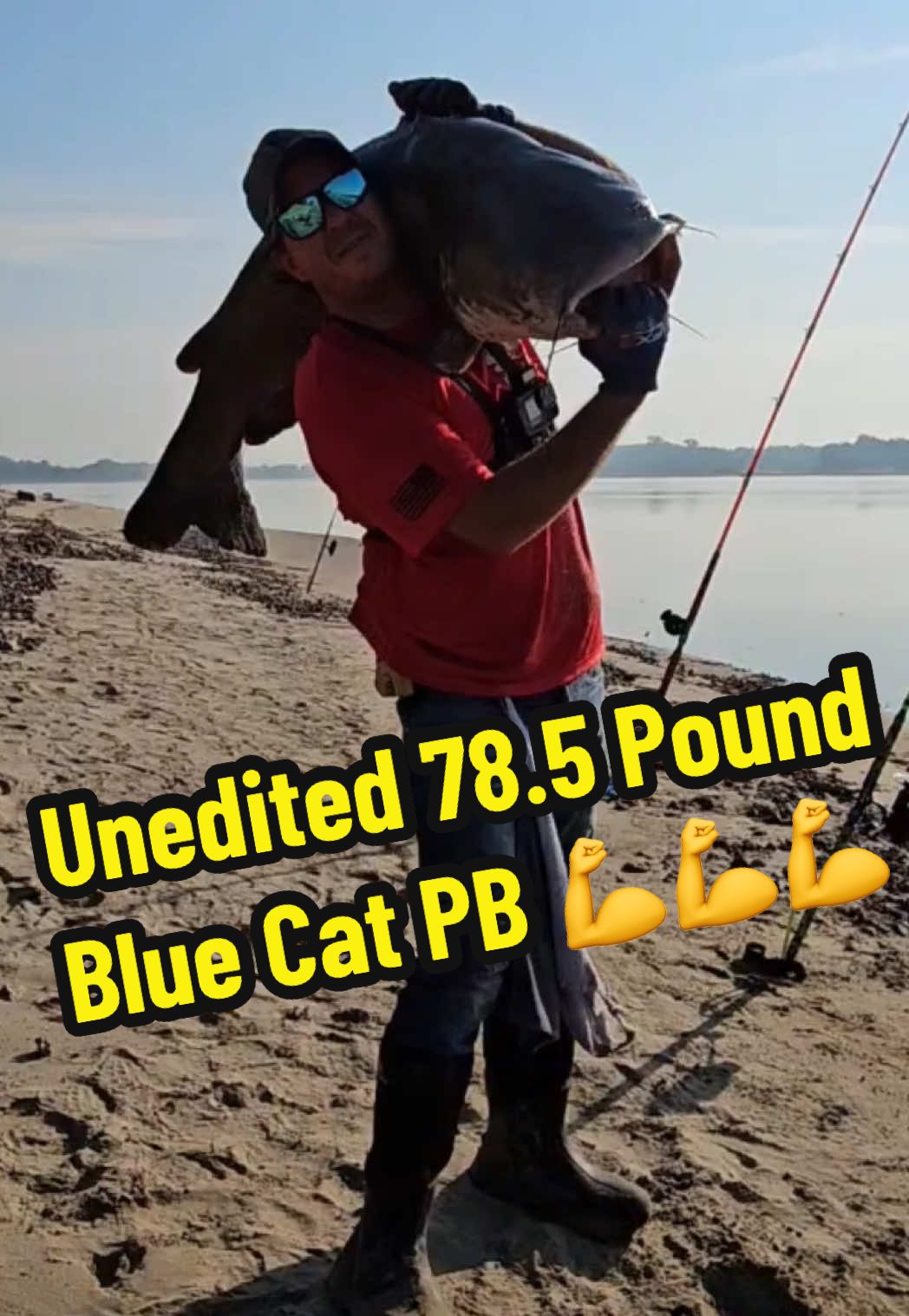 You HAVE to see this!! UNEDITED 78.5 Pound Blue Cat PB!!  👀 💪 #fishing #fyp #trending #like #followme @MadKatz Gear @Mid-Atlantic Catfish @Takedown Rod Holders @JusDragN 