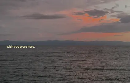 #pinkfloyd #fyp #music #wishyouwerehere 