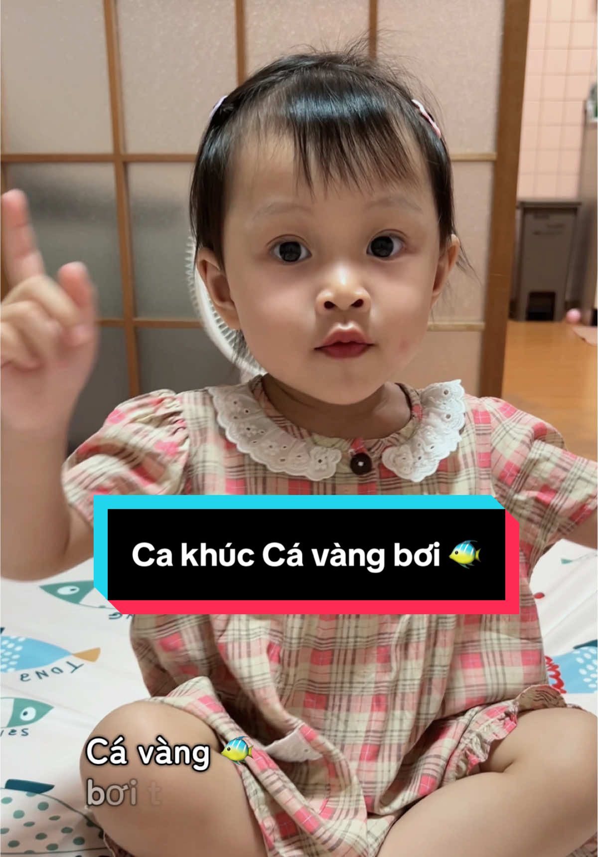 Hai vây xinh xinh cá vàng bơi trong bể nước. Ca khúc Cá vàng bơi Ổi Chan Cover 🥳🥳