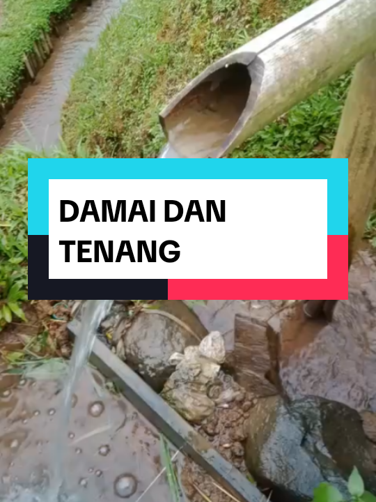 DAMAI DAN TENANG  #damai #tenang