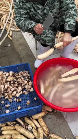 #藕粉 #純手工製作 #0脂肪0蔗糖 