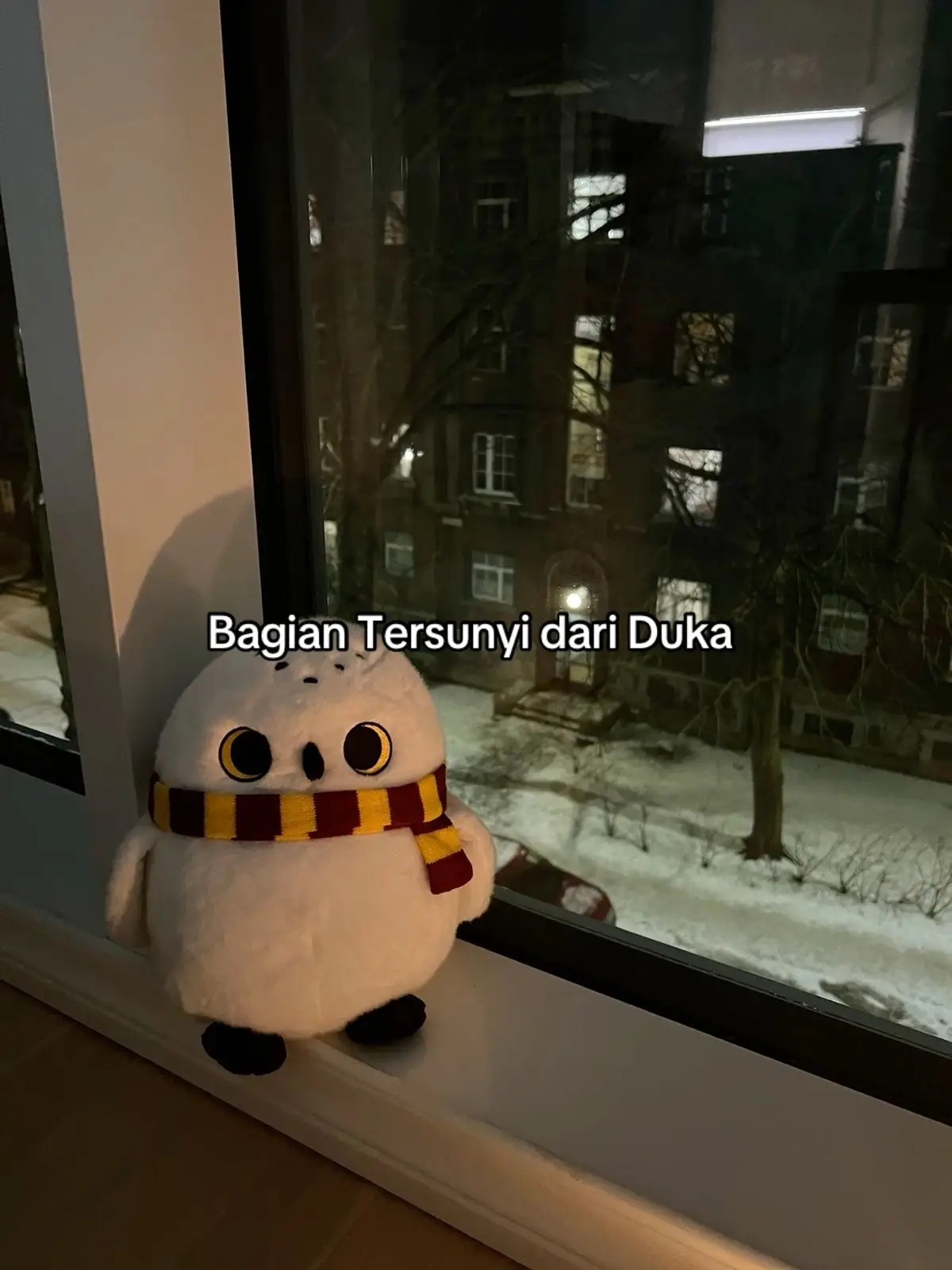 #fyp #foryoupage #fypシ #viral #viralvideo 