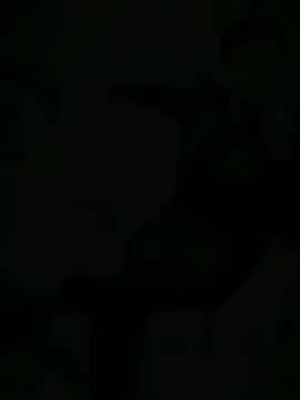 زندگی میں پیسہ ہی سب کچھ نہیں ہوتا