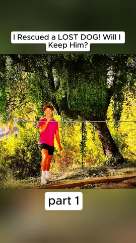 I Rescued a LOST DOG! Will I Keep Him