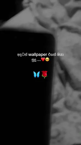 මට සමාවෙන්න .....! එත් මට බැ🥺 #love_story_video🤓💖 #100k_likes❤️ #ගම්පොල_😌✌_අපි♥🌍 #followformorevideo #fypシ゚viral🖤tiktok☆♡🦋myvideo  @nima 💗🥰 Notty 😚🥺 @It