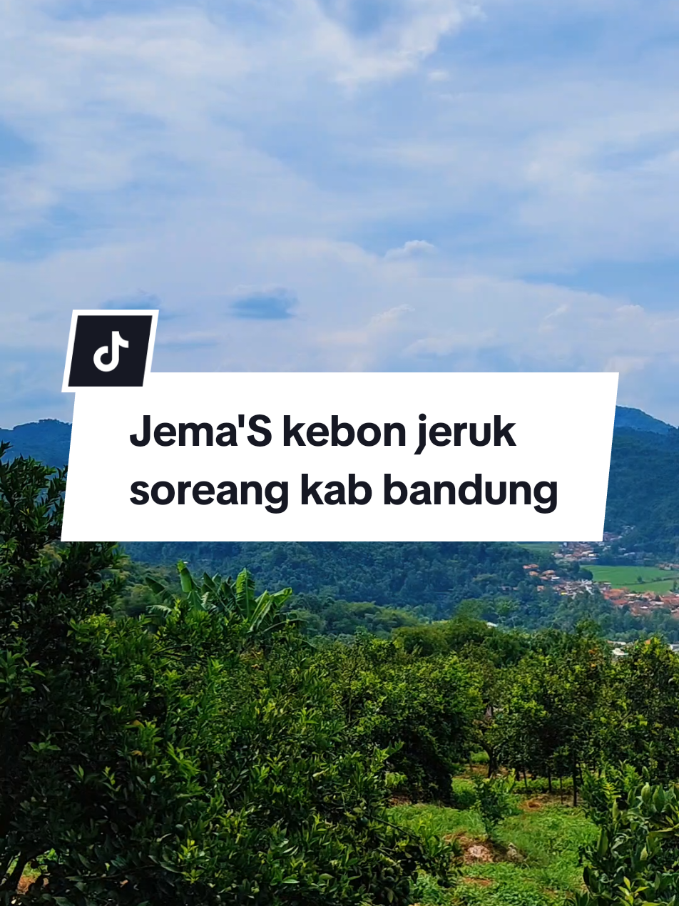 Kebon jeruk Jema's , ada pemandangan se bagus ini,,👍 📌 soreang #kebonjerukjemas #jemas #soreang #kabbandung #jawabarat 