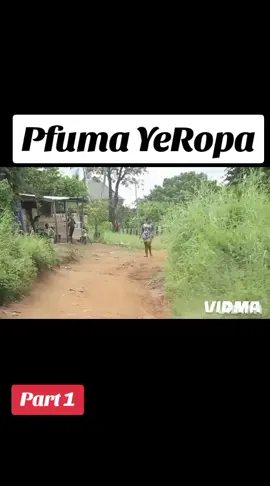 #zimtiktokers 🇿🇼🇿🇼🇿🇼🇿🇼🇿🇼🇿🇼🇿🇼#fypppppppppppp 