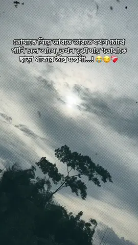 #CapCut 