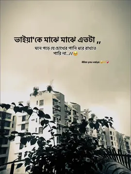 ভাইয়া'কে মাঝে মাঝে এতটা ,,মনে পড়ে যে চোখের পানি ধরে রাখতে পারি না...//Miss you vaiya 🥹🫶❤️‍🩹#fyp #foryou #capsonvideo #foryoupage #viral 