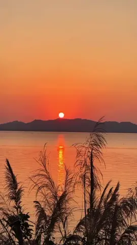 #اكسبلور #متابعة #تفاعلوا #شعراء_وذواقين_الشعر_الشعي🎸💔🥀😔 #الشعب،الصيني،ماله،حل،😂😂 