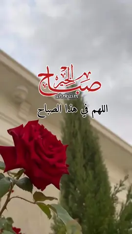 اللهم اجعلنا ممن توكل عليك فكفيته واستهداك فهديته واستغفرك فغفرت له واستنصرك فنصرته ودعاك فأجبته#صباحكم_سعاده #اللهم_بك_اصبحنا #اصباحنا_و_اصبح_الملك_لله #صباح_الخير #صباح_الورد 