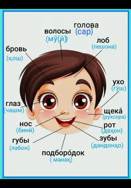 #русскийязык#забонируси#омузиш#луғат#словарь#лугат#диалог#грамматика#омӯзиш