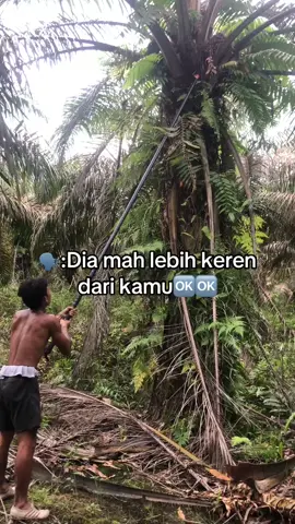 #fyppppppppppppppppppppppp #kulisawitkalimantan 