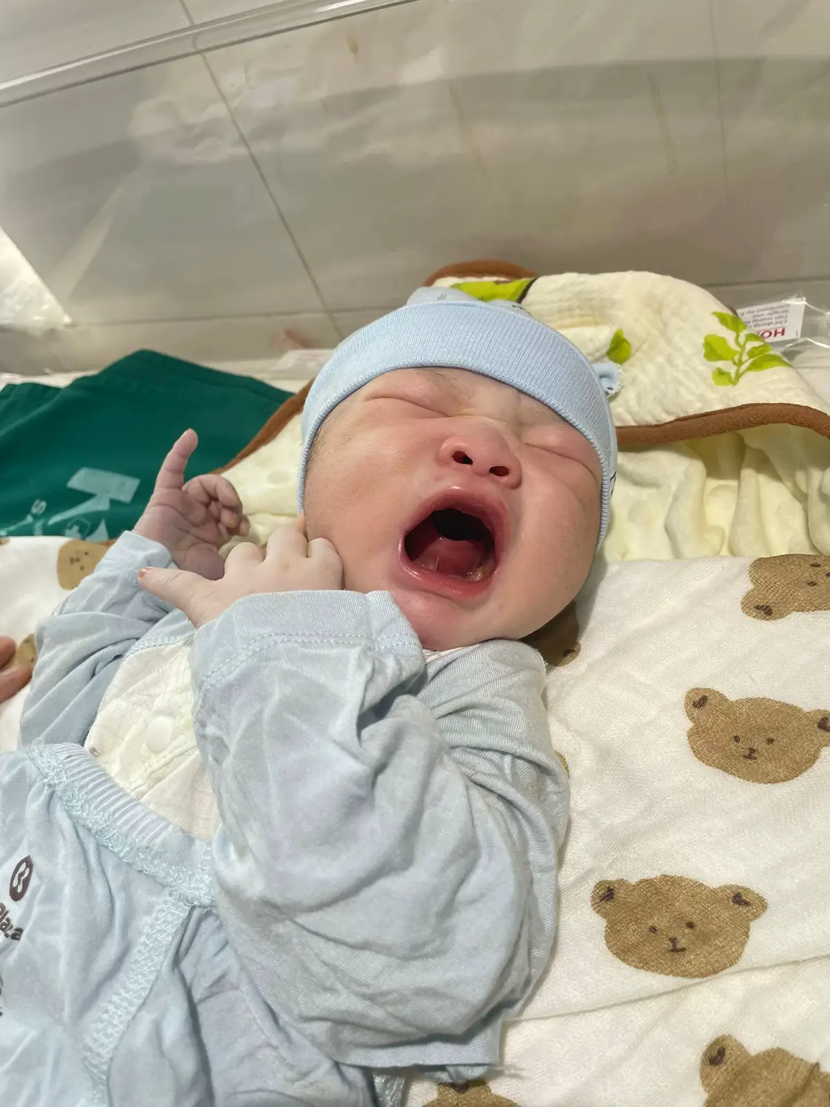 #xuhuongtiktok #viralvideo #embechaodoi #embedangyeu 