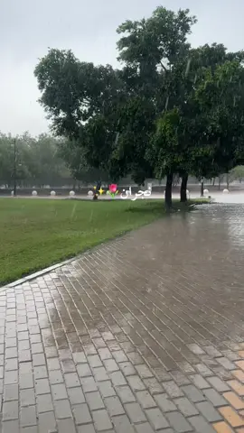 #بنات_نجران#امطار_نجران